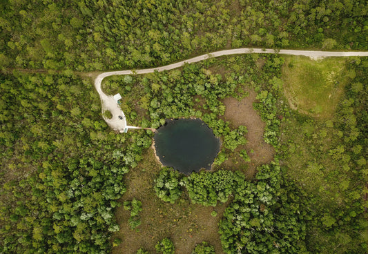 Dive Sites Near Gainesville